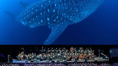 BBC’s stunning Blue Planet II is returning to Ireland live in concert