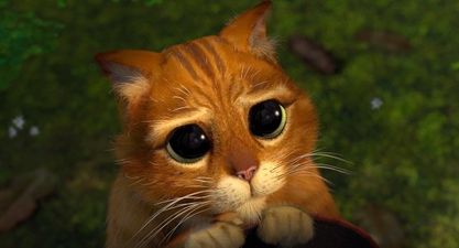 Bad news, Game of Thrones fans – Ser Pounce didn’t make it