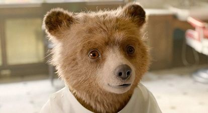 We asked Paddington himself if he thinks Paddington 2 is the greatest film of all time