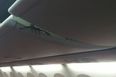 Huge scorpion spotted crawling out of overhead locker on plane