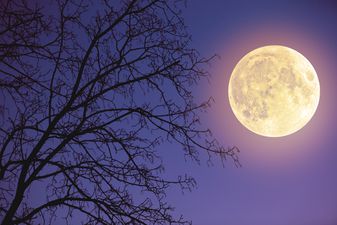 A “super snow moon” – the brightest moon of the year – will be visible in the sky this week