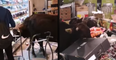WATCH: Rogue herd of cows invade Hong Kong supermarket in dramatic coup d’etat