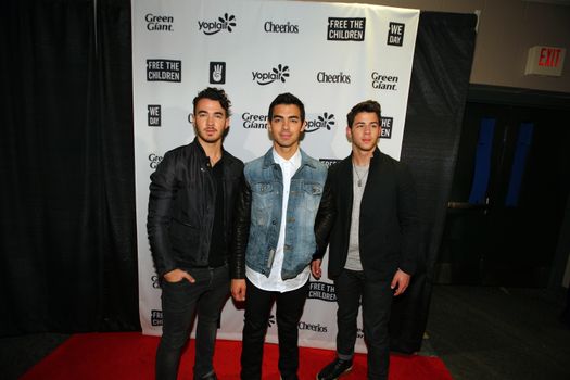 Jonas brothers reunion