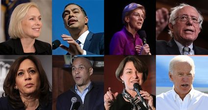 ELECTION 2020: Absolutely everything you need to know about who wants to run against Trump in 2020