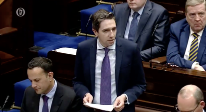 “I know you’re used to gagging your opponents”. Harris doesn’t hold back in comments about Sinn Féin