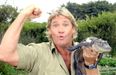 PIC: Friday’s Google Doodle will be a tribute to the one-and-only Steve Irwin