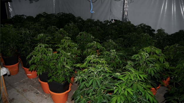 drugs seizure dublin