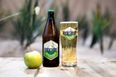 Brewers at St. James’ Gate unveil brand new cider drink