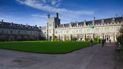 Cork student killed in road traffic collision in the Netherlands