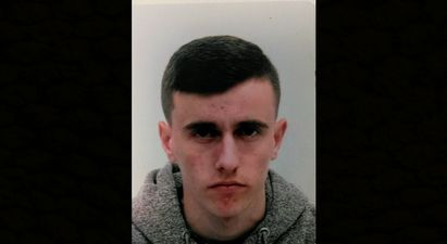 Gardaí seek public’s assistance in locating missing Wicklow teenager