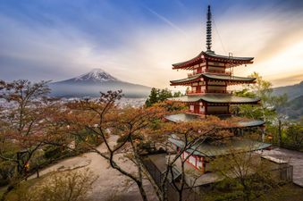 Here’s how to be in with a chance of winning a trip to Japan for two