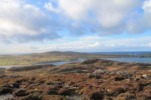 something for the weekend