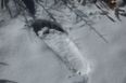 PICS: Indian army claims it has found Yeti footprints