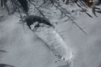 PICS: Indian army claims it has found Yeti footprints