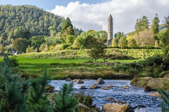 Wicklow County Council declares climate and biodiversity emergency