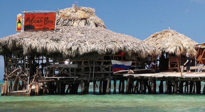 Bartender needed for dream job serving pints in a Caribbean paradise