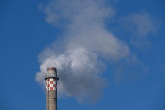 CO2 levels reached their highest point in human history this week