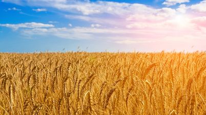 US farmer cuts off his own leg with a pen knife after getting trapped in machine