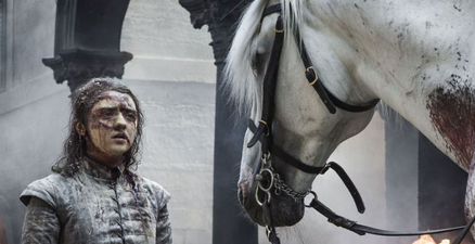 Here’s what Maisie Williams would like to change about Arya’s story in Game of Thrones Season 8