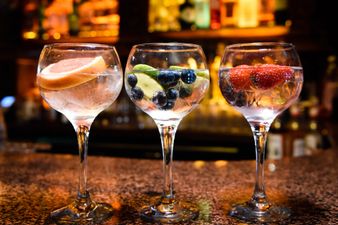 That’s the spirit! Gin Fest 2019 is coming to Galway and it sounds unreal