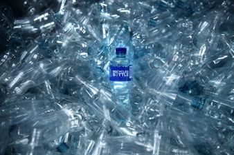 Nine easy ways to live more sustainably on World Environment Day 2019