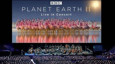 BBC’s stunning Planet Earth II is coming to Ireland live in concert