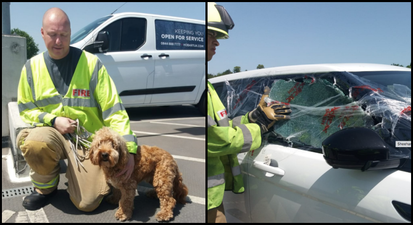 Firefighters rescue dog after it was locked inside a car and left unattended during the heatwave
