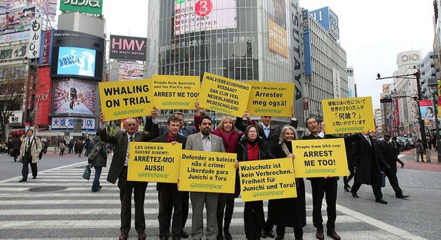 commercial whaling Japan