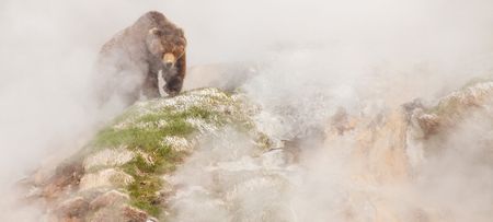 WATCH: Here is your first look at Seven Worlds, One Planet, David Attenborough’s epic new project