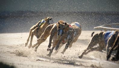 FBD Insurance pulls out of sponsorship of Kilkenny Greyhound Stadium