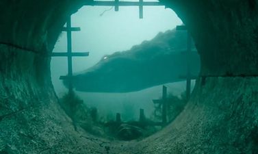 The first reactions are in for Crawl, what looks set to be the sleeper hit of the summer