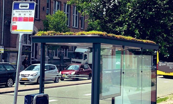 plants on bus stops
