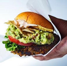 A two-day vegan food festival is coming to Dublin this September