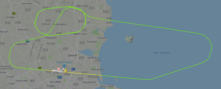 Aer Lingus flight forced to make emergency landing at Dublin after bird strike