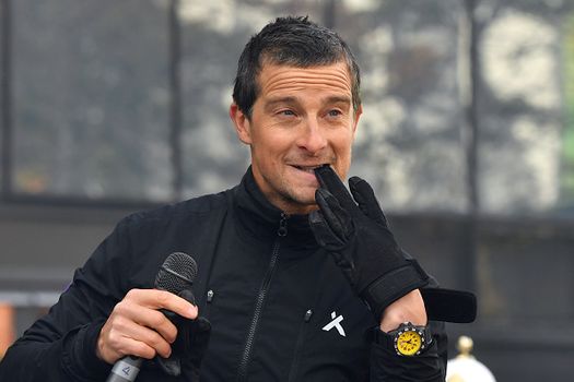 Bear Grylls