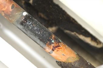 Dublin water samples found to have 10 times the legal limit of lead