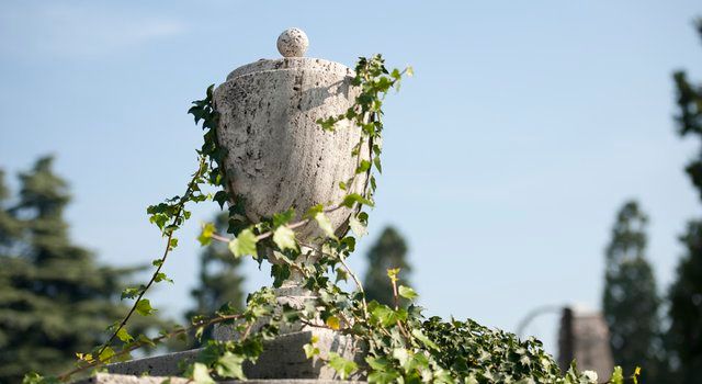 Irish emigrant parents ashes lost Aer Lingus