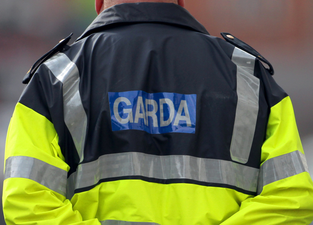 Gardaí from nine other counties sent to Kildare, Laois and Offaly for Operation Fanacht