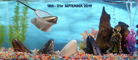 This awesome idea just won this year’s Young Shark Awards