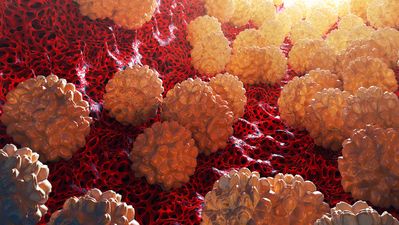 Humanity takes major step towards vaccination for chlamydia