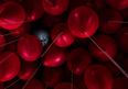 COMPETITION: Win tickets to preview screening of IT CHAPTER 2