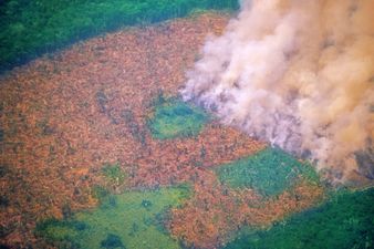 Brazil’s Amazon rainforest is burning at a record rate, experts say