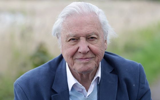 Netflix David Attenborough