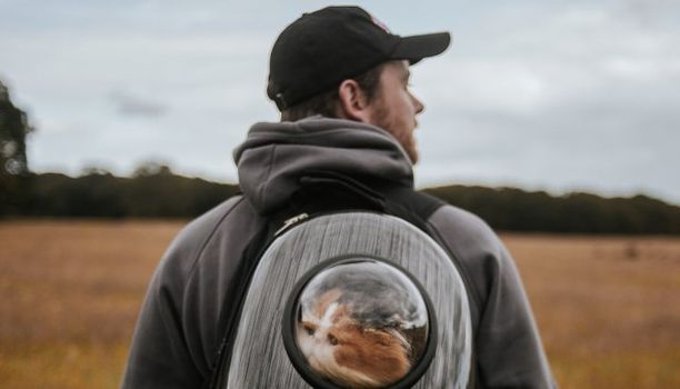 Nealo JOE Song Of The Day