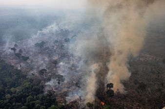 Brazil has rejected the $20 million aid offered by G7 leaders to fight Amazon fires