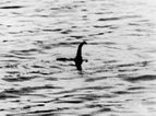 Scientists have presented a “viable theory” that explains the Loch Ness Monster