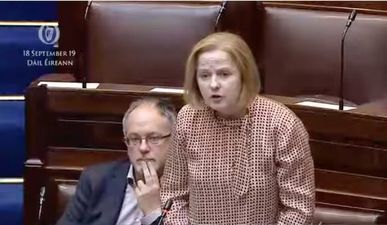 “Sex for rent is becoming a reality” – TD raises concerns about young women put under pressure by landlords