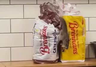 Applegreen conducting full investigation after footage surfaces of rat in store in Dublin