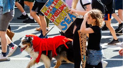 Thousands of Irish students to strike for climate action today