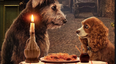 The new trailer for Lady and the Tramp is heaven for dog lovers